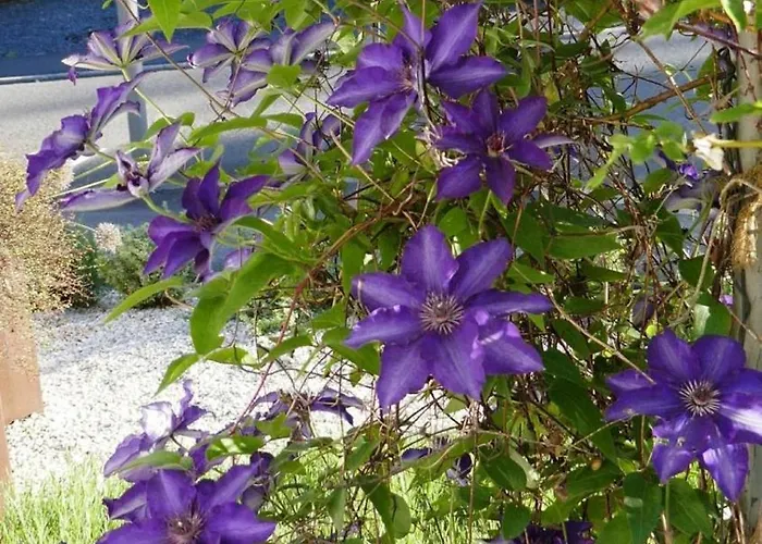 Apartamento Marita Schmitt Bernkastel-Kues