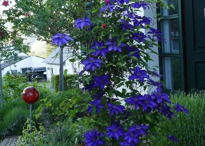 Apartamento Marita Schmitt